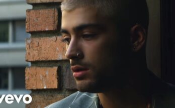 Dusk Till Dawn Is A Song By ZAYN . Lyrics Are Penned By Zayn MalikSia FurlerAlex Oriet David Phelan Greg Kurstin While Music Is Produced By Greg Kurstin. Official Music Video Is Released On Official Channel.