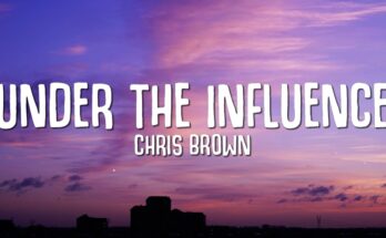 Under The Influence Is A Song By Chris Brown. Lyrics Are Penned By Ayoola Oladapo AgboolaChris BrownDavid Adedeji AdelekeTiffany Mckie While Music Is Produced By KDDO. Official Music Video Is Released On Official Channel.