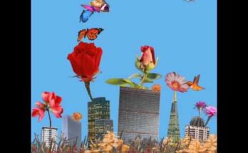 Garden Lyrics - Dua Lipa