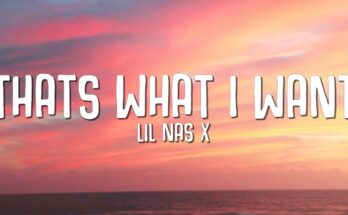 THATS WHAT I WANT Is A Song By Lil Nas X. Lyrics Are Penned By Montero HillOmer FediBlake SlatkinRyan TedderKeegan Bach While Music Is Produced By Omer FediBlake SlatkinRyan TedderKBeaZy. Official Music Video Is Released On Official Channel.