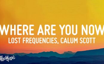 Where Are You Now Is A Song By Lost Frequencies & Calum Scott. Lyrics Are Penned By Felix de LaetDag LundbergJoacim Bo PerssonMichael Patrick KellySebastian Arman While Music Is Produced By Lost Frequencies. Official Music Video Is Released On Official Channel.