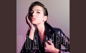IDGAF Is A Song By Dua Lipa. Lyrics Are Penned By Dua LipaMNEKLarzz PrincipatoSkyler StonestreetWhiskey Water While Music Is Produced By Koz. Official Music Video Is Released On Official Channel.
