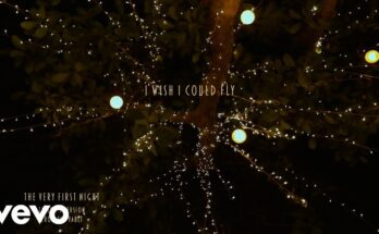 The Very First Night Is A Song By Taylor Swift. Lyrics Are Penned By Swift Amund Bjørklund Espen Lind While Music Is Produced By Tim Blacksmith Danny D. Espionage. Official Music Video Is Released On Official Channel.