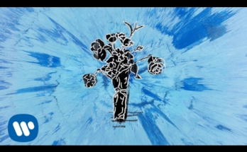 Supermarket Flowers Is A Song By Ed Sheeran. Lyrics Are Penned By Benny BlancoEd SheeranJohnny McDaid While Music Is Produced By Benny BlancoJohnny McDaid. Official Music Video Is Released On Official Channel.