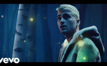 Vibez Is A Song By ZAYN . Lyrics Are Penned By Zayn MalikRogét ChahayedMichael OrabiyiNija CharlesDarnell Donohue While Music Is Produced By ChahayedScribz Riley. Official Music Video Is Released On Official Channel.