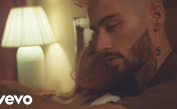 Entertainer Is A Song By ZAYN . Lyrics Are Penned By Zayn MalikHenrique AndradeAlexandre BursztynIliana Nedialkova While Music Is Produced By Andrade. Official Music Video Is Released On Official Channel.