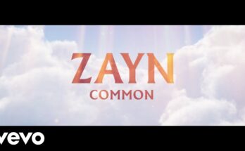 Common Is A Song By ZAYN . Lyrics Are Penned By Zayn MalikMichael HannidesAnthony HannidesKhaled RohaimAlan Sampson While Music Is Produced By Khaled RohaimMakeYouKnowLoveAlan Sampson (co.)Zayn (co.). Official Music Video Is Released On Official Channel.