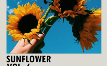 Sunflower Is A Song By Harry Styles. Lyrics Are Penned By Harry StylesMitch RowlandTyler JohnsonThomas Hull While Music Is Produced By Tyler Johnson. Official Music Video Is Released On Official Channel.