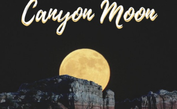 Canyon Moon Is A Song By Harry Styles. Lyrics Are Penned By Harry StylesMitch RowlandTyler JohnsonThomas Hull While Music Is Produced By Tyler Johnson. Official Music Video Is Released On Official Channel.