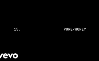 PURE/HONEY Is A Song By Beyoncé .V Lyrics Are Penned By Beyoncé KnowlesTerius NashShawn CarterMike DeanAndrell D. RogersTino Santron McIntoshKendrick Duckworth While Music Is Produced By BeyoncéKaliThe-Dream. Official Music Video Is Released On Official Channel.